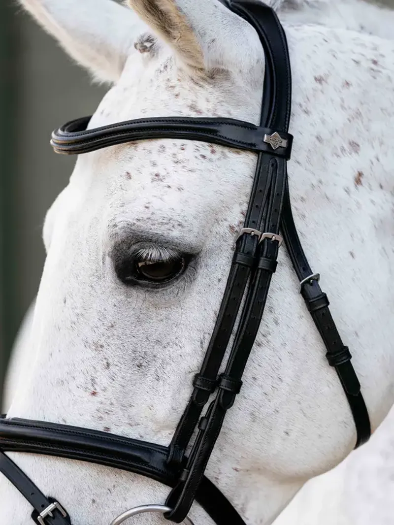 Arika Anatomic Flash Bridle Black/Silver-2