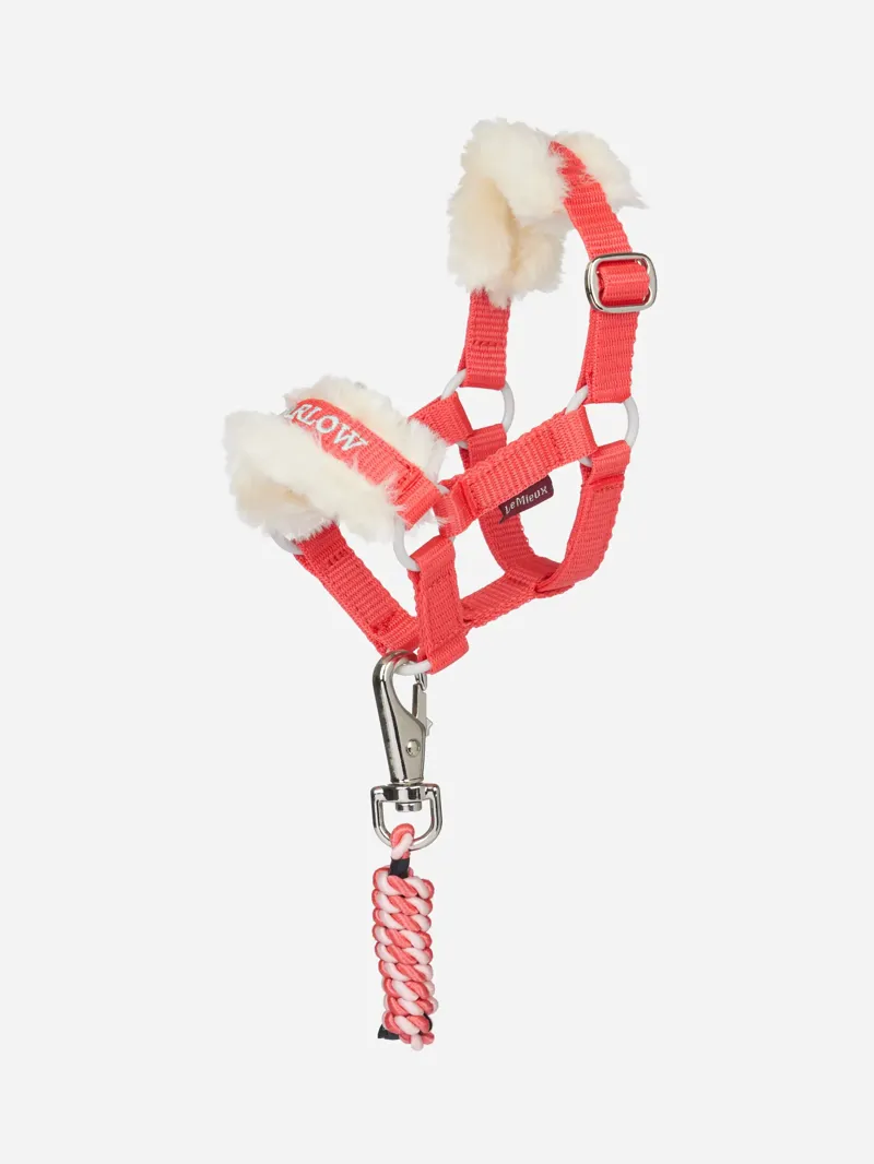 LeMieux Harlow Toy Pony Headcollar and Leadrope - Coral Crush