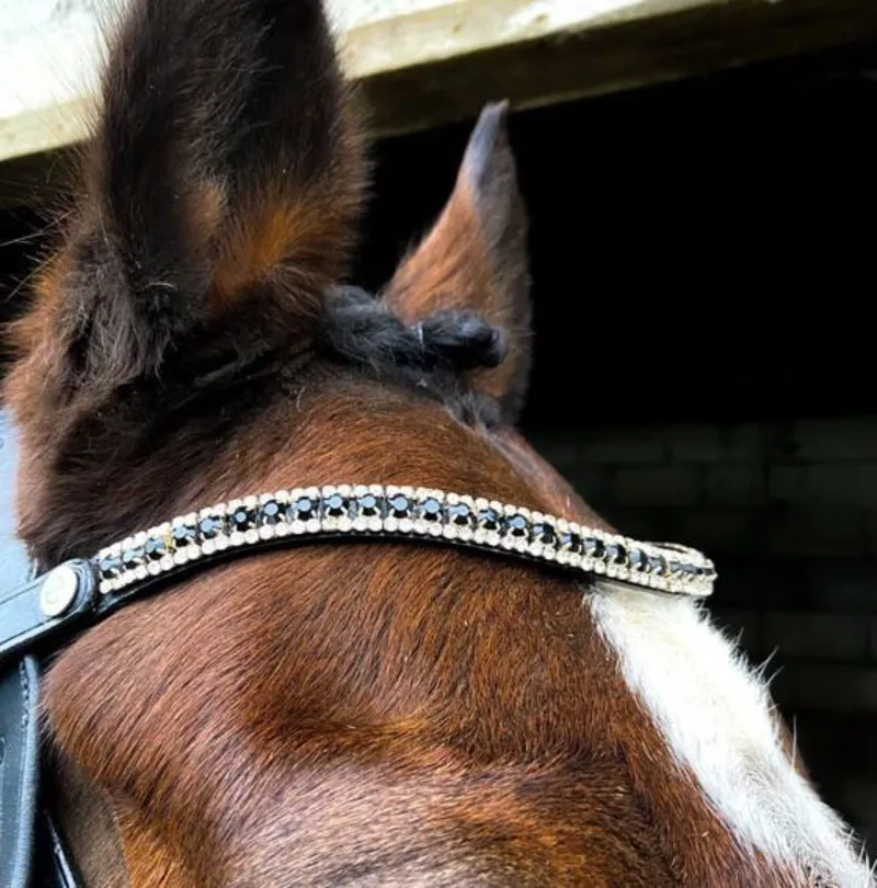 Ecorider Freedom Juliette Browband Brown