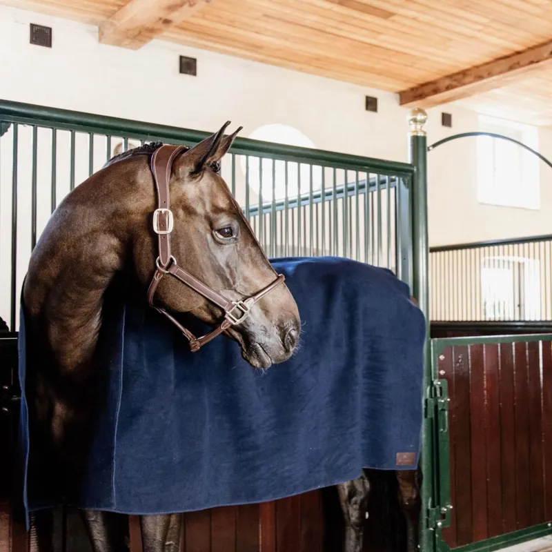 Kentucky Heavy Fleece Square Rug Large in Navy-5