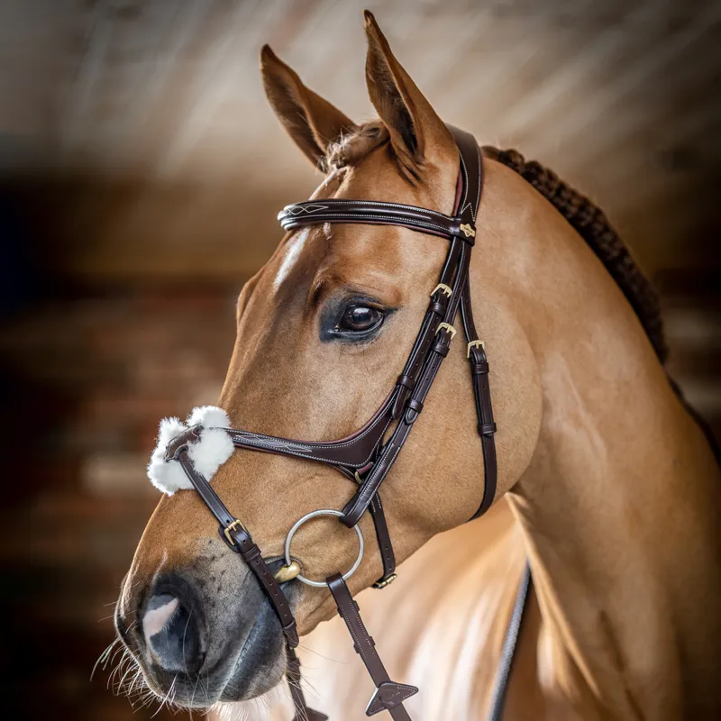 Lemieux Grackle Bridle- Havana