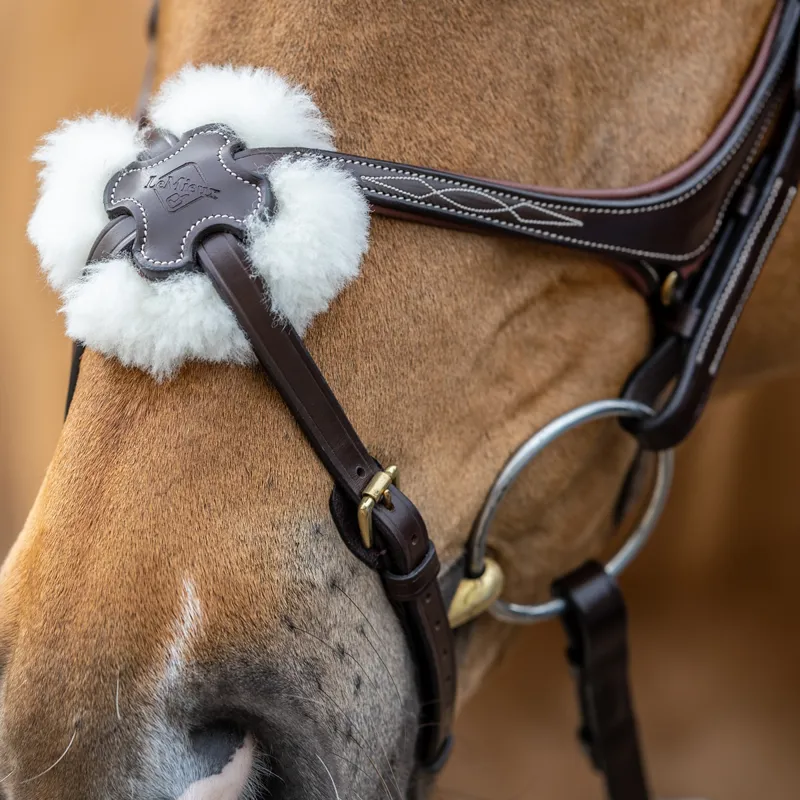 Lemieux Grackle Bridle- Havana-1