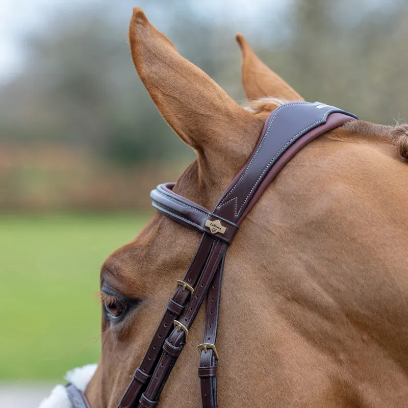 Lemieux Grackle Bridle- Havana-2