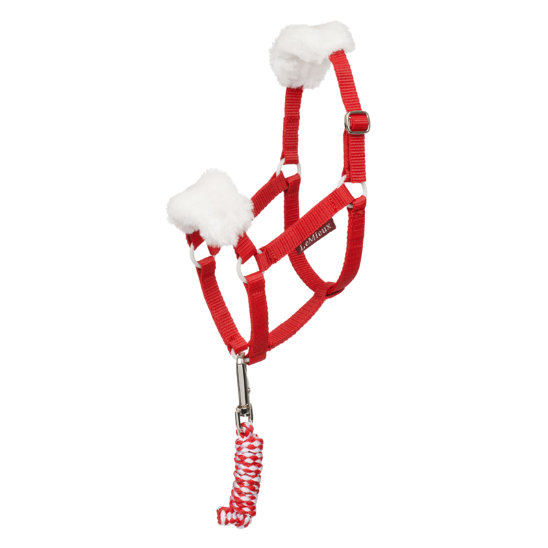 LeMieux Hobby Horse Christmas Headcollar and Leadrope - Red