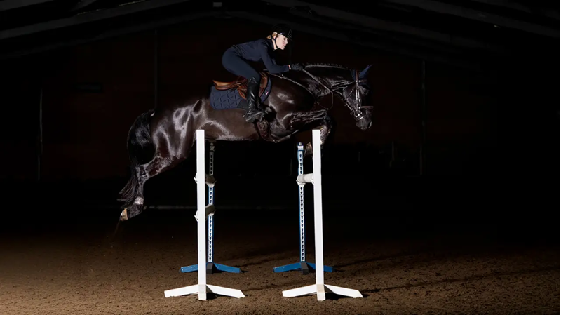 LeMieux ProForm Moulded Close Contact Saddle Pad Large - Navy-1