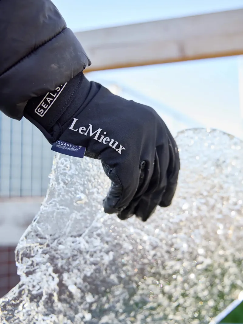 Lemieux Sealskinz Waterproof Glove in Black-1