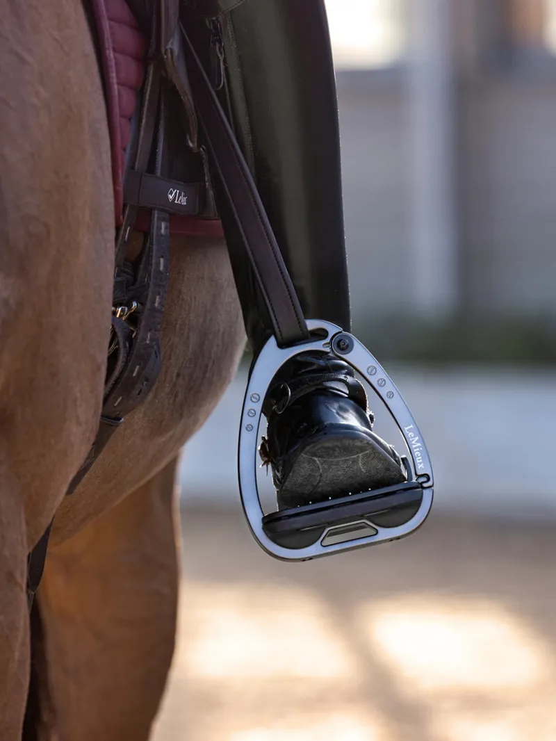 Lemieux Vector Control Stirrup Carbon - Grey-1