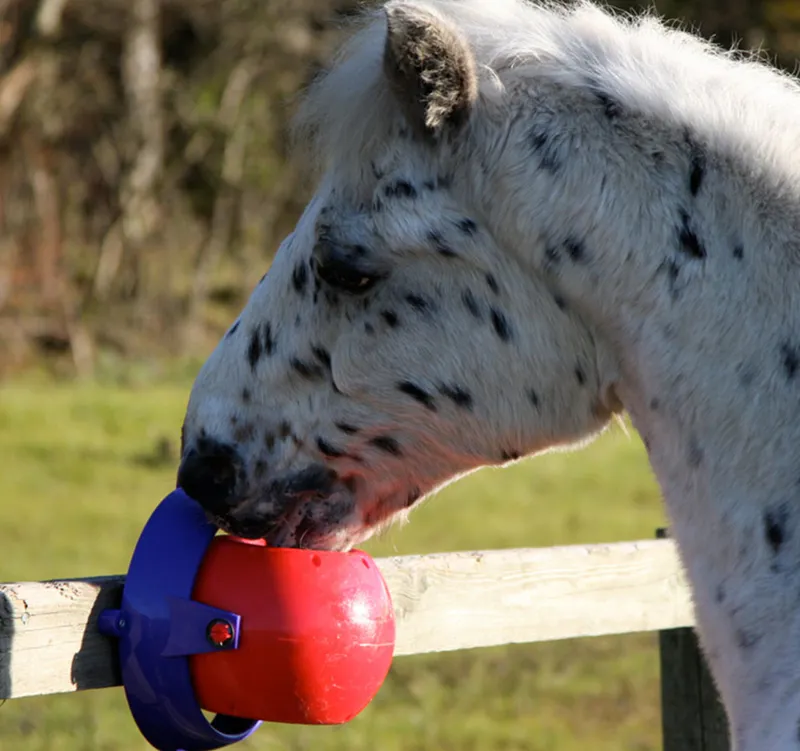 Likit Tongue Twister Horse Toy in Red-2