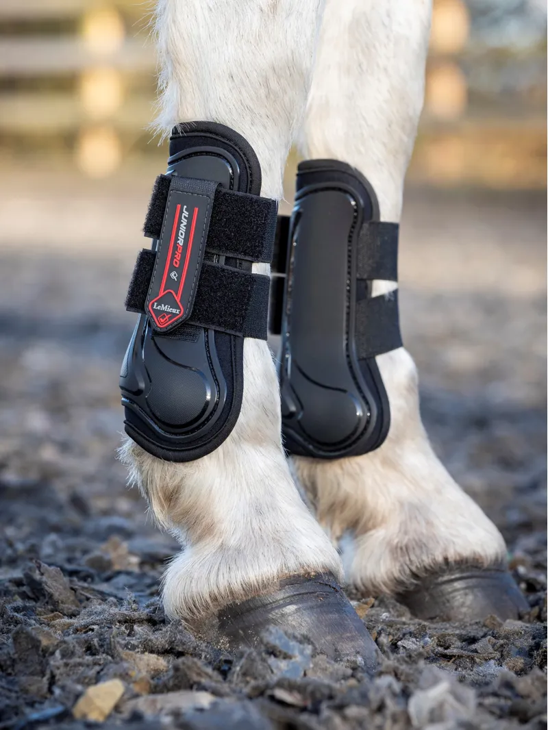 LeMieux Junior Pro Tendon Boots - Black-1