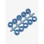 LeMieux Stud Plugz Blue