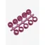 LeMieux Stud Plugz Pink