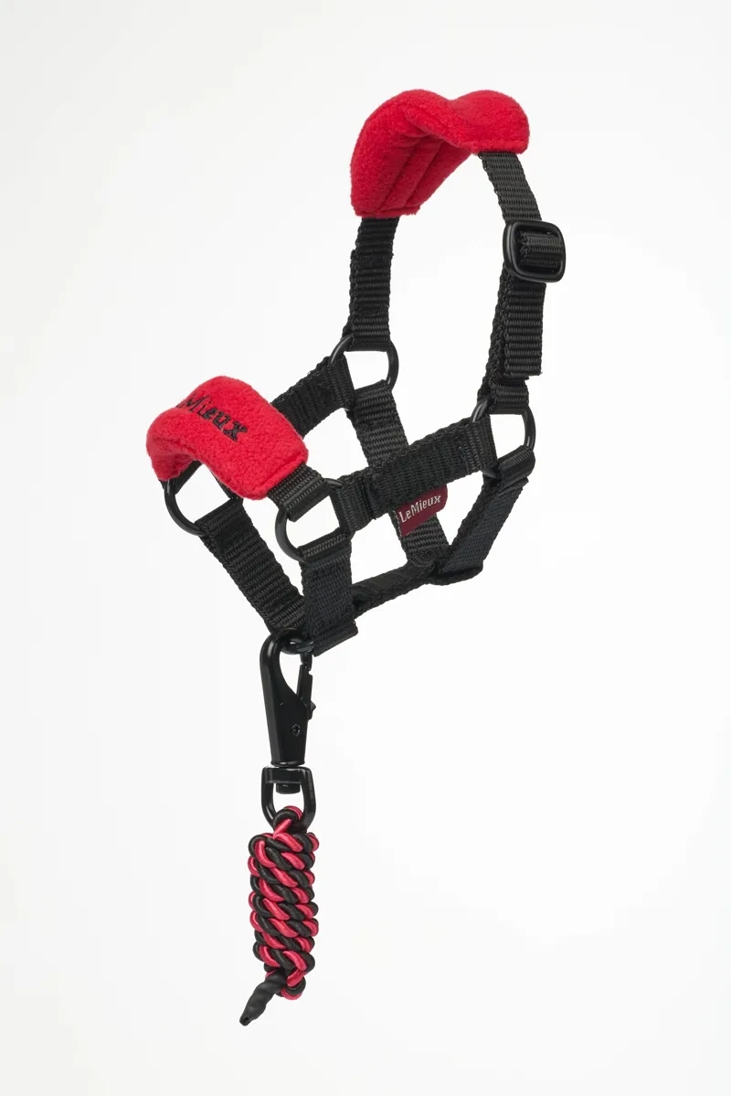 LeMieux Toy Pony Vogue Headcollar - Chilli-1