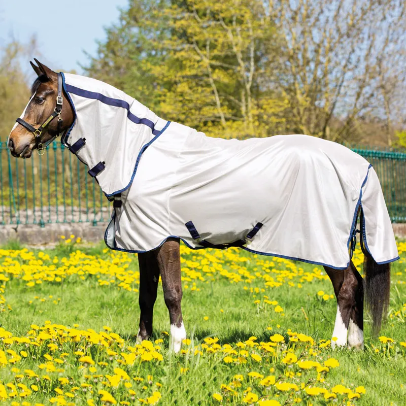 Amigo Mio Fly Rug- Bronze/Navy