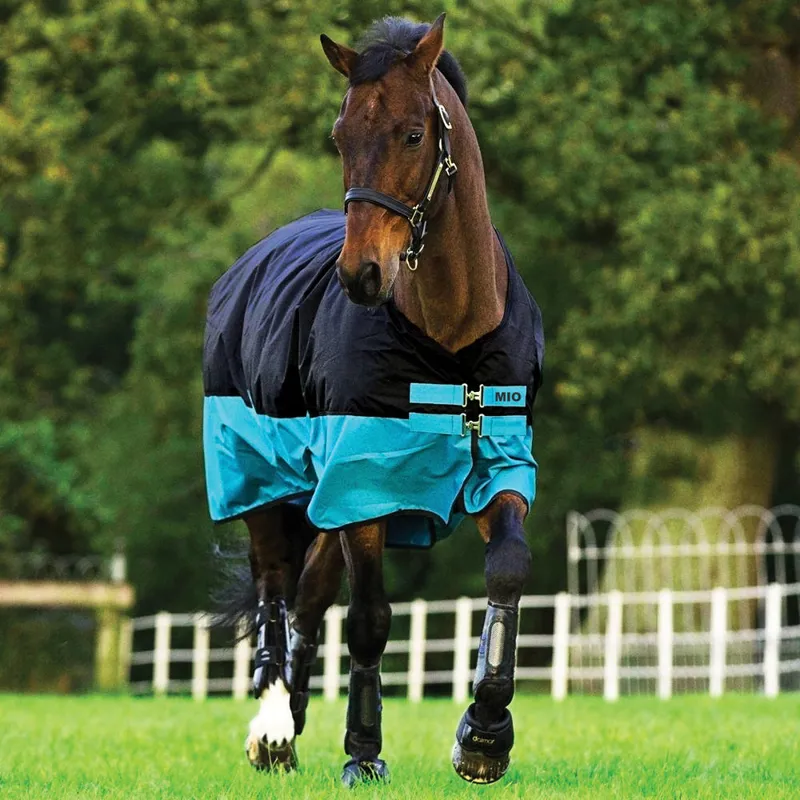 Mio Lightweight Standard Neck Turnout Rug - Black/Turquoise 0g