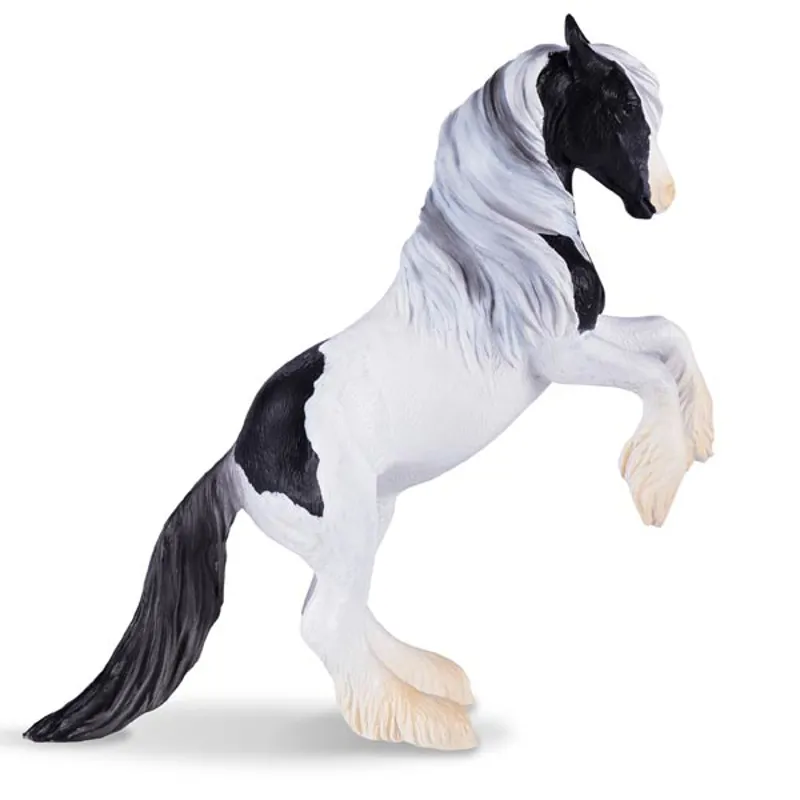 Mojo: Irish Cob Stallion 