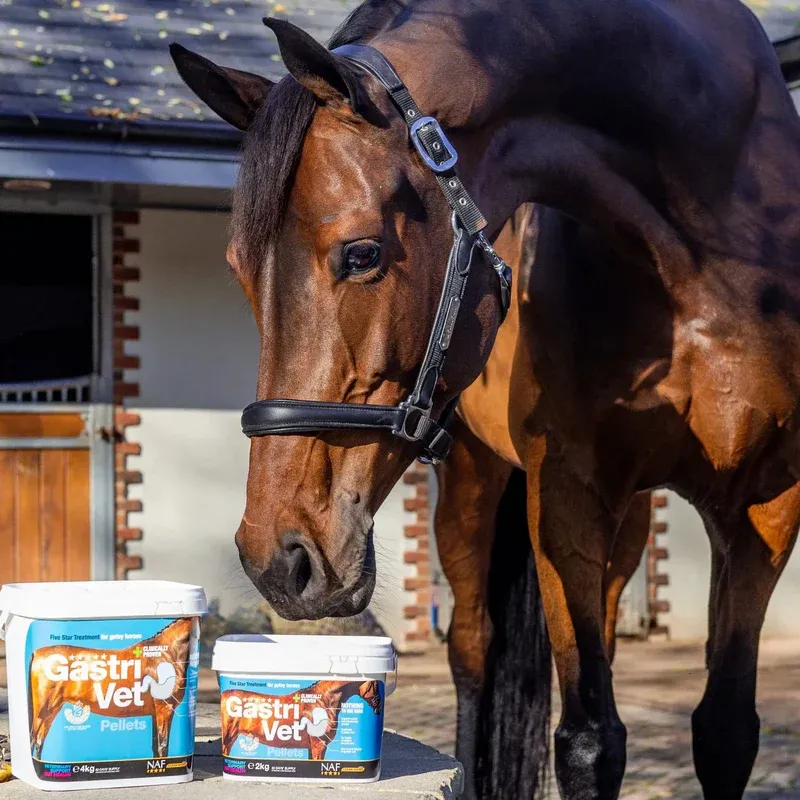 NAF GastriVet Pellets-2