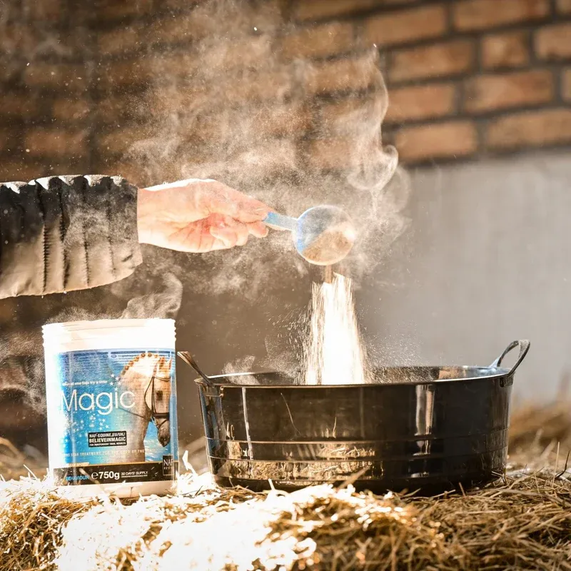 NAF Magic Powder-2