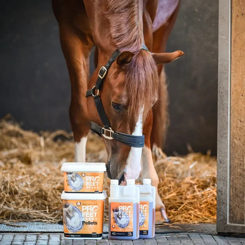 NAF Profeet Liquid 1lt-1