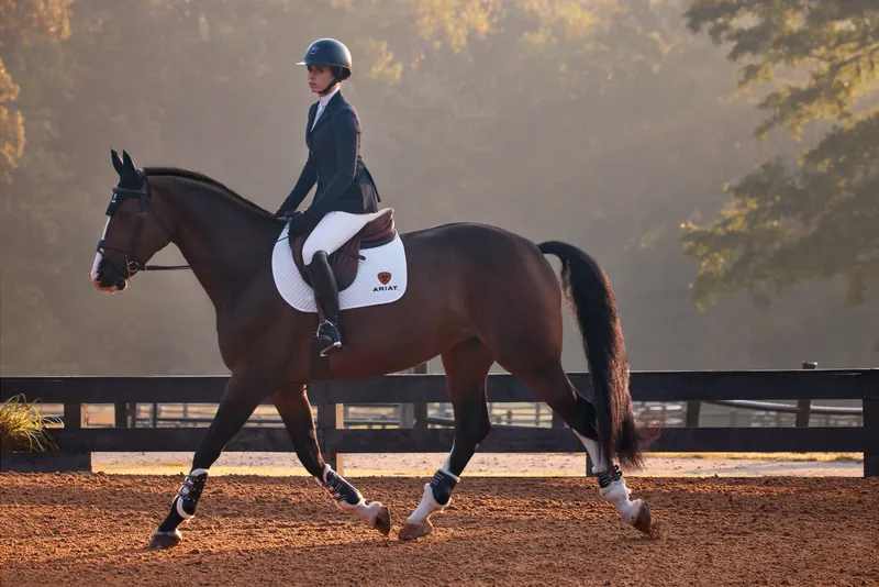 Ariat Womens Allure Show Coat - Navy Eclipse-6