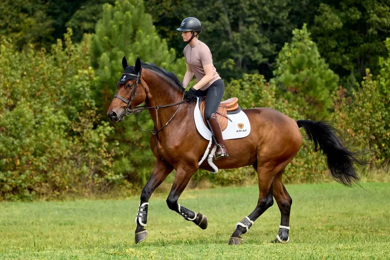Ariat Womens Soquel 1/4 Zip Shortsleeve Baselayer - Antler-3