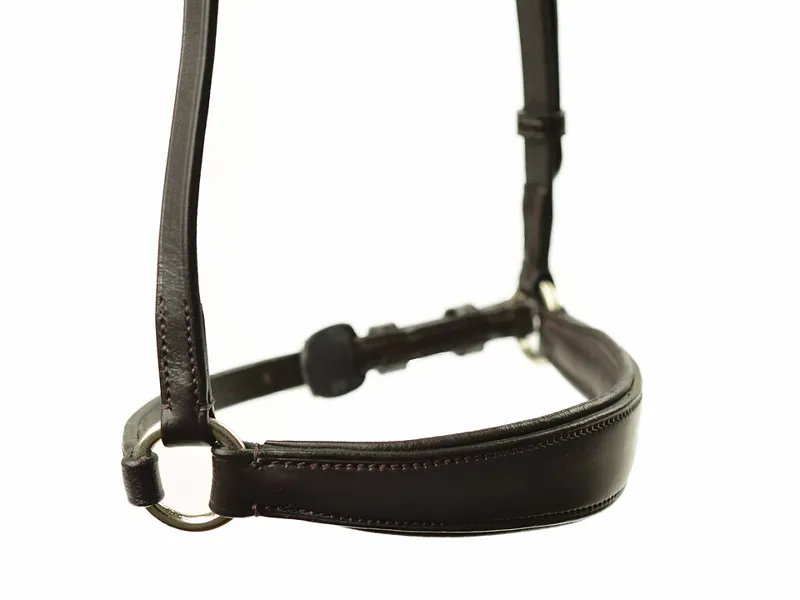 Ascot Padded Drop Noseband Black or Brown