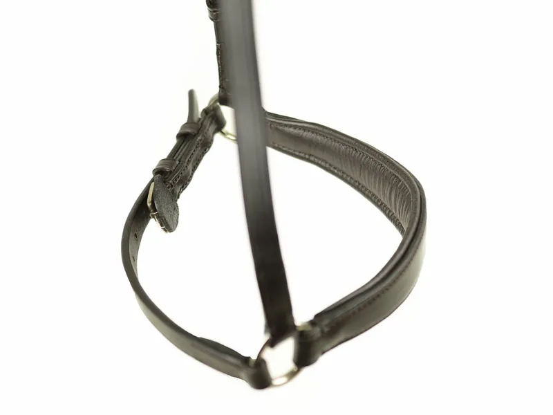 Ascot Padded Drop Noseband Black or Brown-2