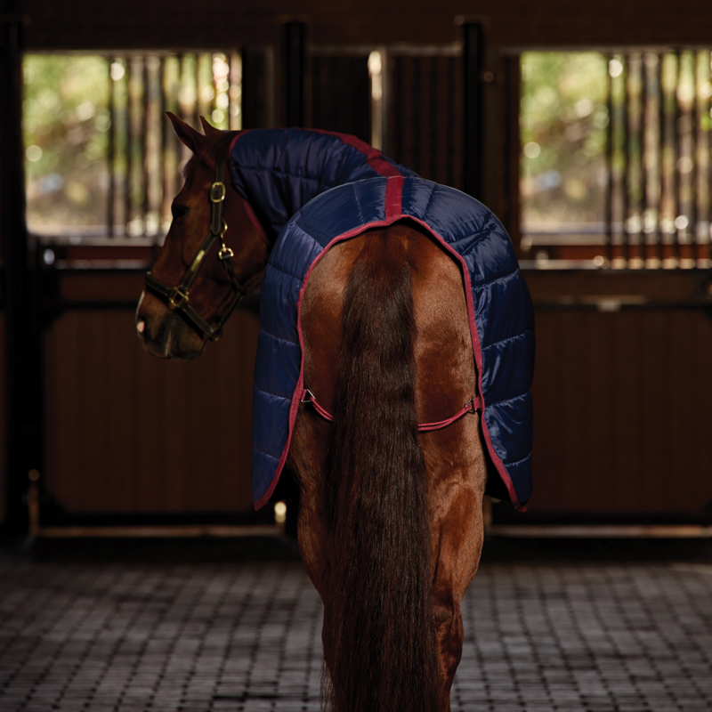 Weatherbeeta Comfitec 210D Channel Quilt Stable Combo 360g Navy/Burgundy-5