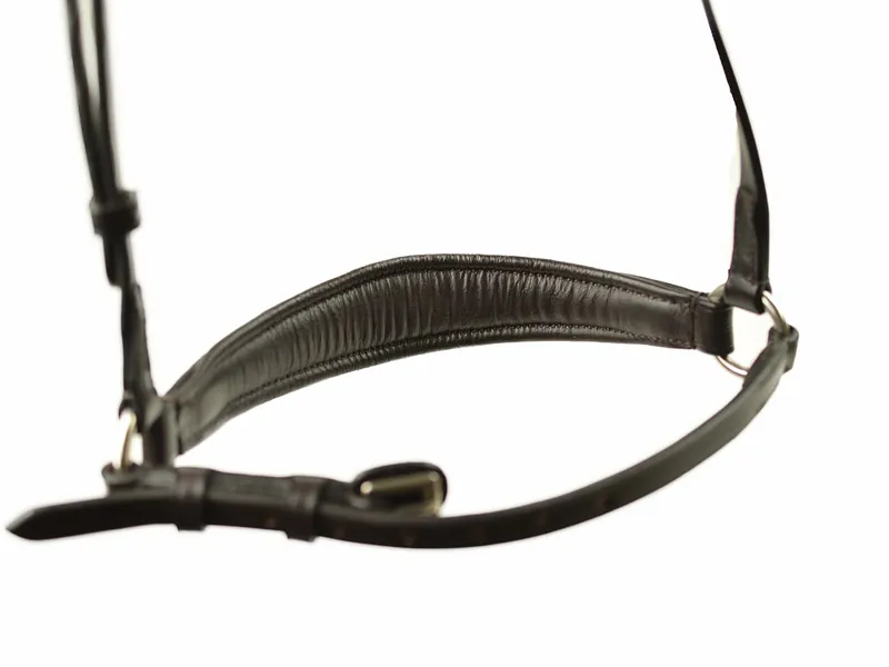 Ascot Polo Drop Noseband Padded Brown-1