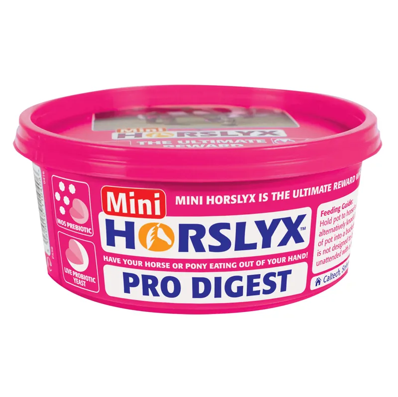 Horslyx Pro Digest Mini Lick - 650g