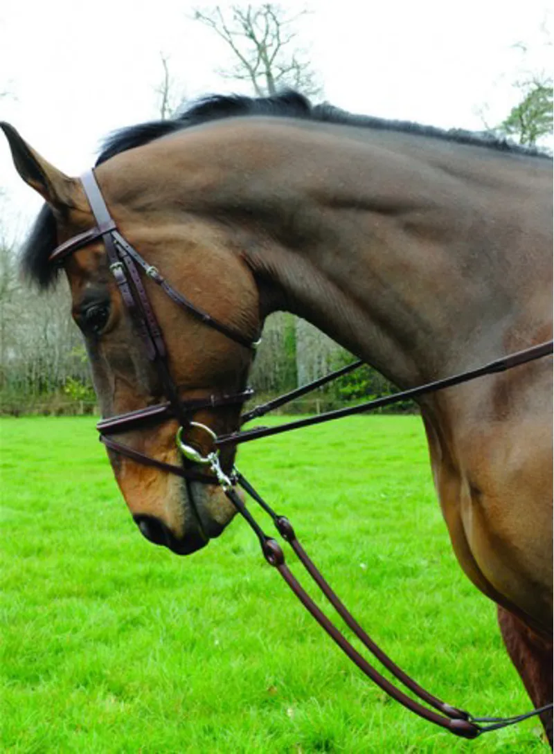 Breeze Up Bungee Martingale Full Brown