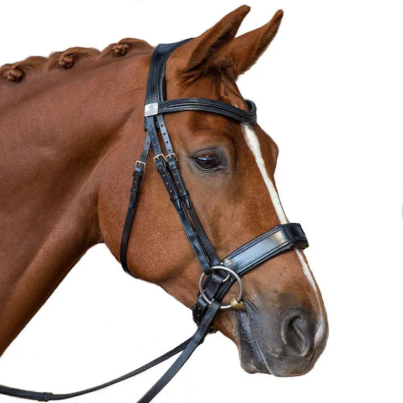 Fairfax Bridle - Cavesson Black