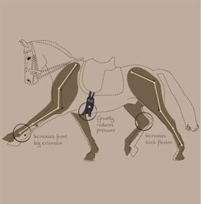 Fairfax Short Event Girth Standard Gauge Black-2