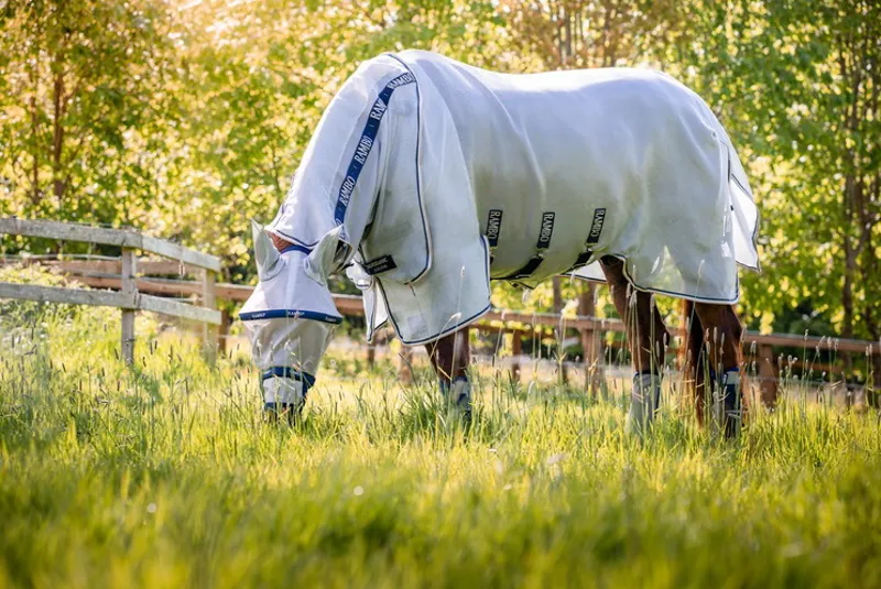 Rambo Protector Fly Rug - Silver/Navy/White/Beige