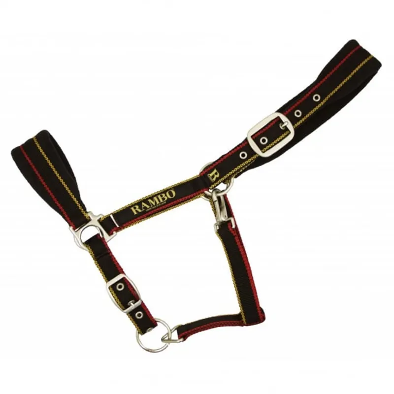 Rambo Padded Headcollar- Whitney Gold 