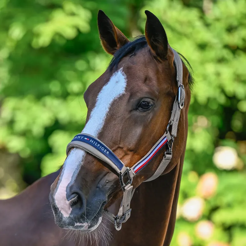 Tommy Hilfiger Yale Set Halter Rope Taupe-1