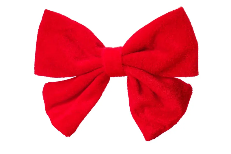 House Of Paws Oversized Red Velvet Bow Tie For Dogs