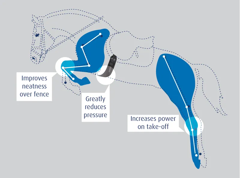 Prolite Long Girth Standard Gauge Black-3