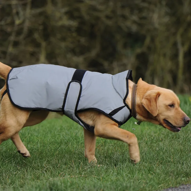 Weatherbeeta Comfitec Reflective Dog Coat Medium - Silver-4