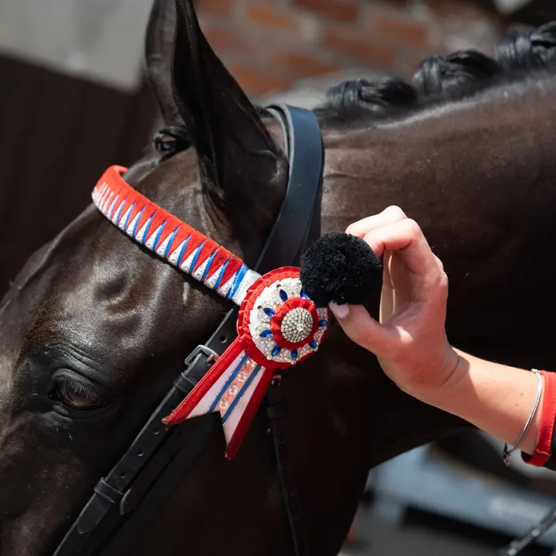 Smart Grooming Equi Plugs - Small-3