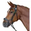 Fairfax Bridle - Drop Black