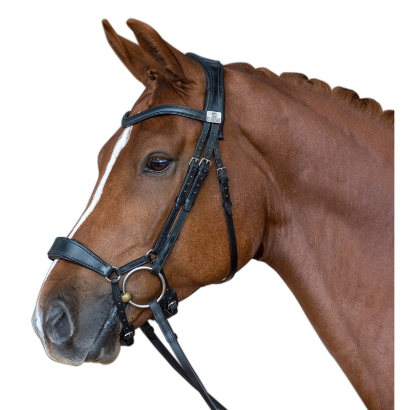 Fairfax Noseband - Drop Brown-1
