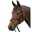 Fairfax Bridle - Grackle Black