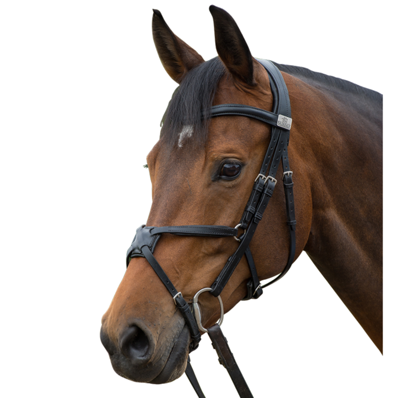 Fairfax Noseband - Grackle Black-1