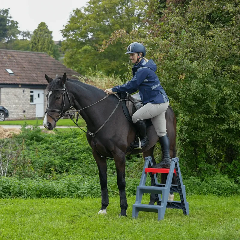 Red Gorilla Step up 3 Steps-3