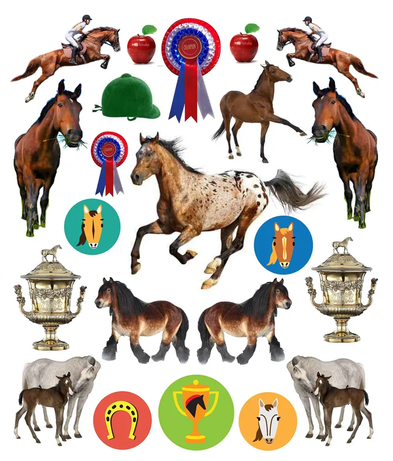 Eyelike Horses: 400 Reusable Stickers-1
