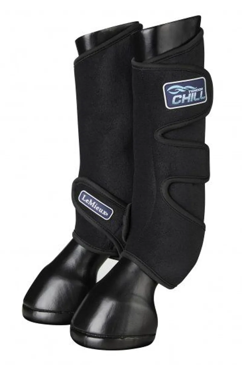 LeMieux Tendon Chill Boots
