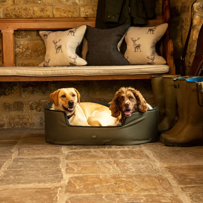 Le Chameau Dog Bed - Vert Chameau-4