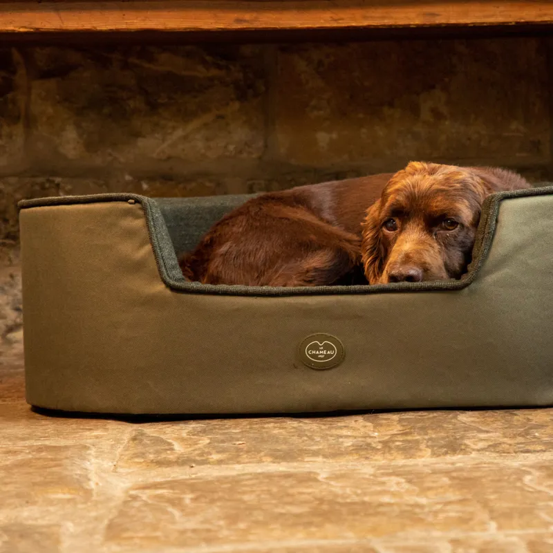 Le Chameau Dog Bed - Vert Chameau-3