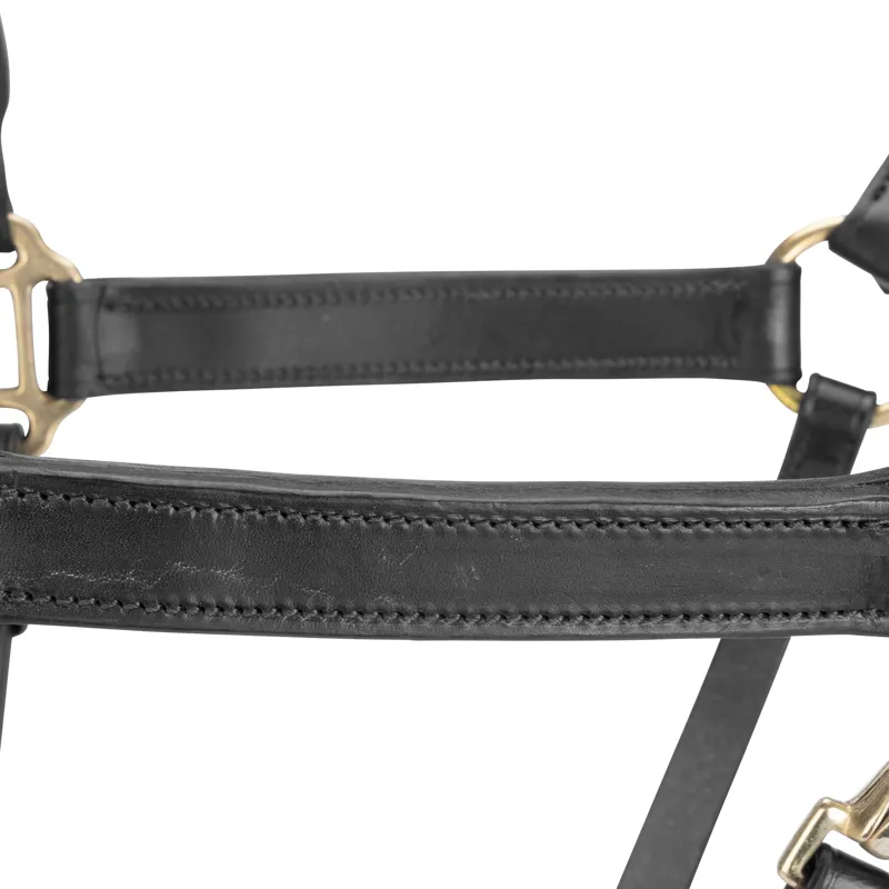 Velociti GARA Leather Travel Headcollar in Black-1