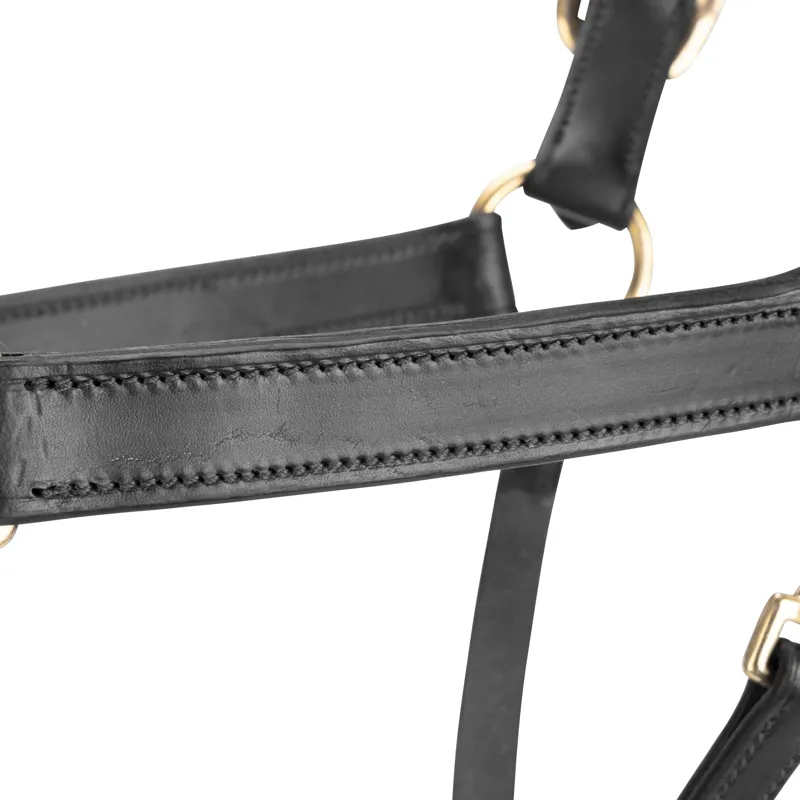 Velociti GARA Leather Travel Headcollar in Black-2